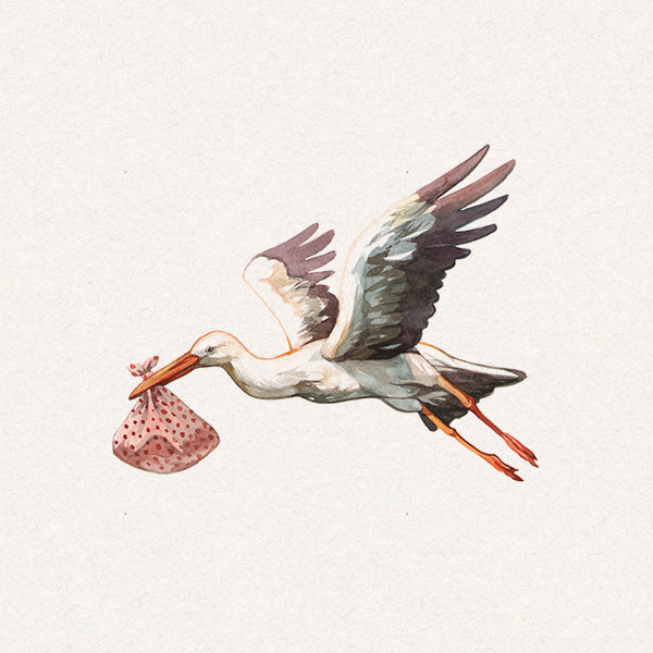 Amy's stalk delivering baby