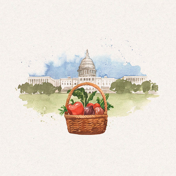 Amy's vegetables and white house