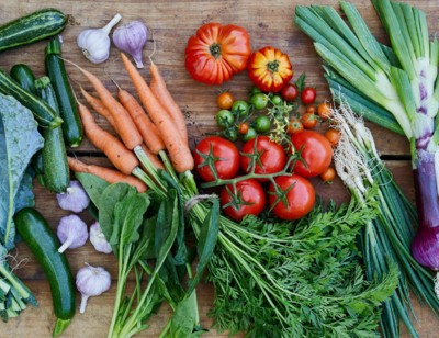 20 Food Facts to Know in 2023