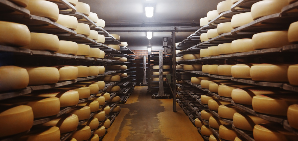 Amy's parmesan cheese