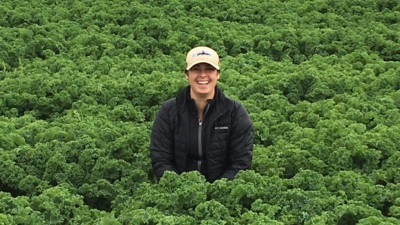 Amy's careers kale field
