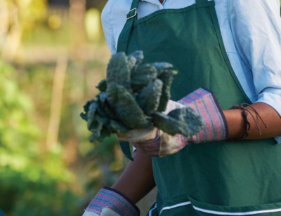 4 Amazing Plant Based Cookbooks by Black Creators