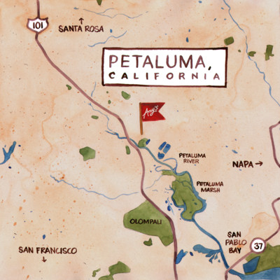 Amy's Petaluma Map