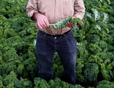 4 Reasons to Celebrate Organic Harvest Month All Year Long