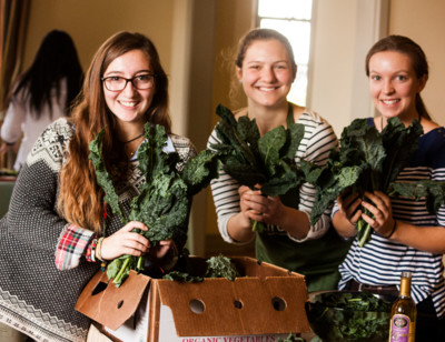 Sustainability on a Shoestring