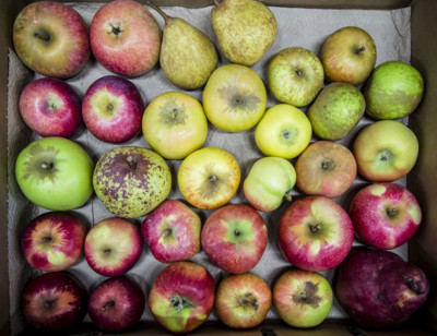 The Tatin Sisters and Their Tarte