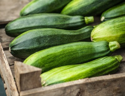 With Our Organic Zucchini, Sustainability Starts at the Farm